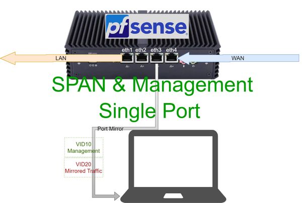 Port Mirror (SPAN) and management on a single physical port